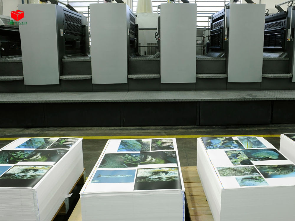 Dịch vụ in ấn tại Bình Tân của Hoàng Vương mang lại nhiều lợi ích thiết thực